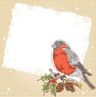 Christmas hand drawn retro postcard with bullfinch bird