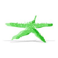 Cartoon Starfish N91