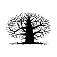 Old tree bare silhouette for your design