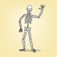 Cartoon Skeleton N27