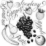 fruit medley