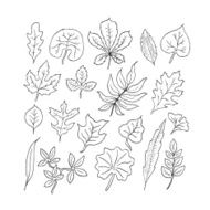 Hand-drawn leaves doodles set N2