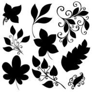 Vector Set of Leaves Stencils Isolated N3