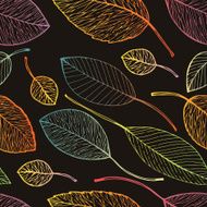 autumn leaf background N22