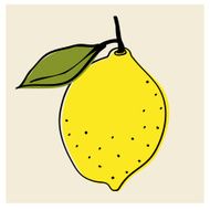 Lemon Fruit Illustration