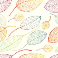 autumn leaf background N23
