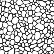 White Bubbles Background