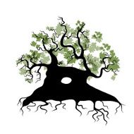 Big old tree with roots for your design N3