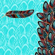 Decorative background with feather border