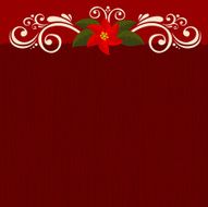 Poinsettia burgundy background