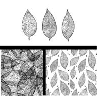 Three doodle leaves and two seamless patters set N2