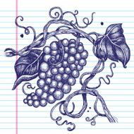 Hand-Drawn Grapes on Paper