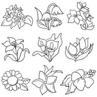 Flowers collection in black and white N2