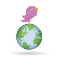 pink bird over the world