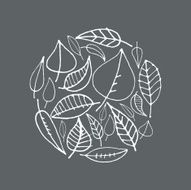 Leaf background N16