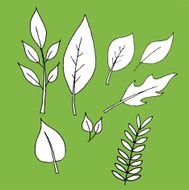 Leaf icons