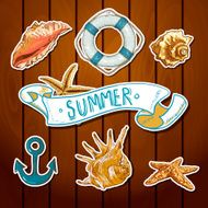Summer Card with Sea Shells Anchor Lifeline N12