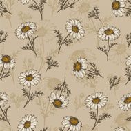 Vintage background with hand drawn chamomile flowers