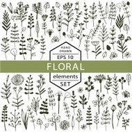Vector set of floral elements painted by hand