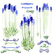 Set of watercolor design elements - lavender and ribbons N2