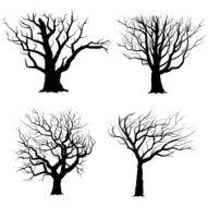 Tree Silhouettes- Illustration N2