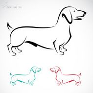Vector image of an dog (Dachshund) N3