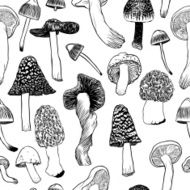 Seamless vector pattern with mushrooms