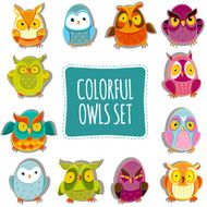 Vector Owls