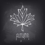 Hand drawn autumn word and leaf on blackboard
