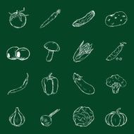 Vector Set of Chalk Vegetables Icons