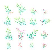 Set of plant elements Bouquets twigs leaves and berries