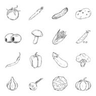 Vector Set of Sketch Vegetables Icons