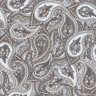 Seamless paisley Indian pattern N2