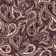 Seamless paisley Indian pattern N3