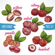 set with colorful nuts