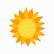 Sunflower Illustration N2