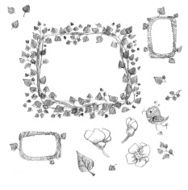Hand Drawn Floral Elements N3