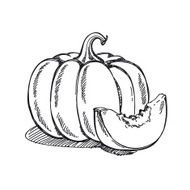 Pumpkin N15