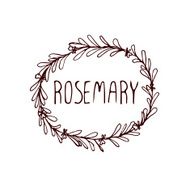 Herbs and Spices Collection - Rosemary N4