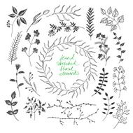 Hand sketched floral elements