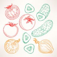 sketch vegetables