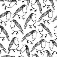 Robin bird pattern