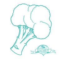 Outline hand drawn sketch of broccoli (flat style thin line)