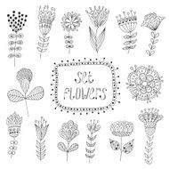 Hand Drawn vintage floral elements Flowers N2