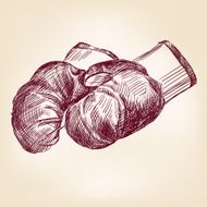 boxing gloves hand drawing
