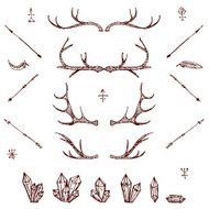 Horns cristals arrows feather Illustrated design elements set Tribal elements EPS vector