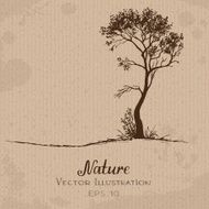 Nature Tree