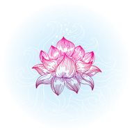 lotus in hand-drawn style