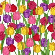 Seamless pattern with spring flowers Tulips