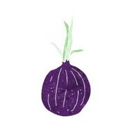 cartoon red onion N19